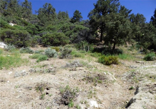 Detail Gallery Image 3 of 5 For 0 Escolon Trl, Frazier Park,  CA 93225 - – Beds | – Baths