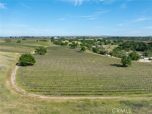 Detail Gallery Image 25 of 31 For 4647 Buena Vista Dr, Paso Robles,  CA 93446 - 2 Beds | 1 Baths