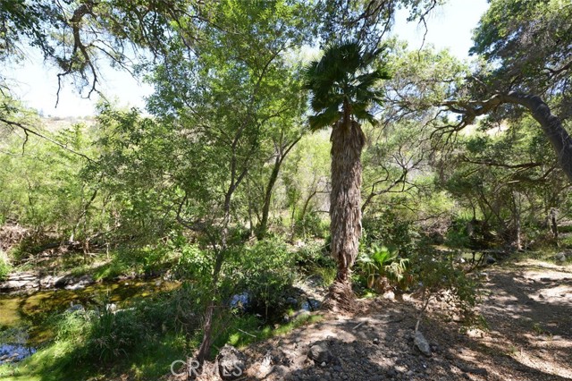 Detail Gallery Image 59 of 73 For 84 Sherwood Dr, Westlake Village,  CA 91361 - 3 Beds | 2 Baths