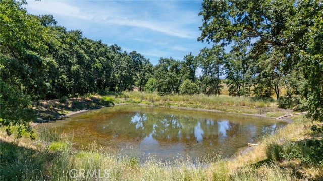 270 Soda Bay Road, Lakeport CA: https://media.crmls.org/medias/2f3a03e6-159c-4ad2-b257-3e42dd482baa.jpg
