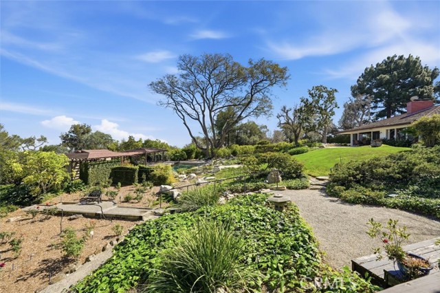 Image 55 of 66 For 100 Saddleback