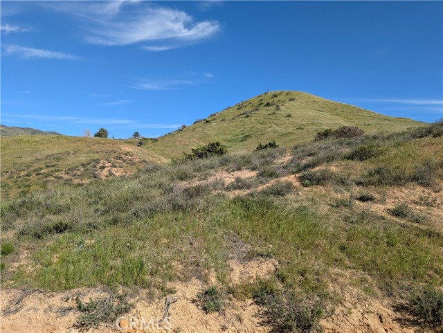 Detail Gallery Image 6 of 18 For 8401 Sierra Hwy, Agua Dulce,  CA 91390 - – Beds | – Baths