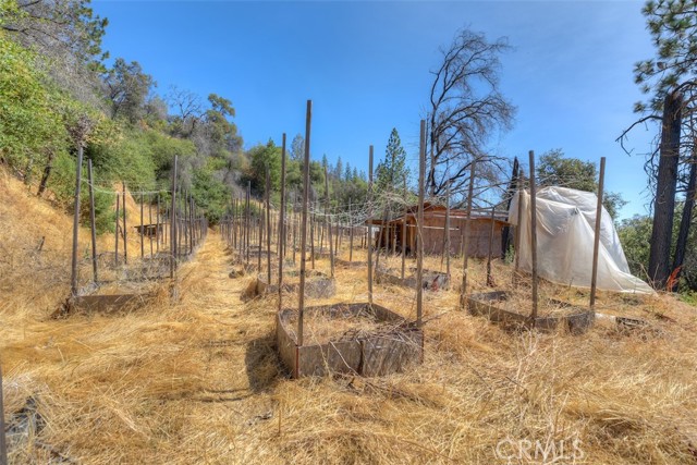 Detail Gallery Image 20 of 33 For 8700 Oro Quincy, Berry Creek,  CA 95916 - – Beds | – Baths