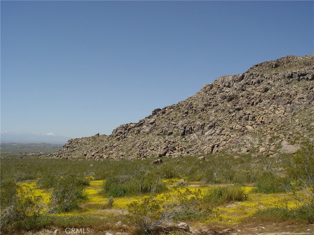 MLS #HD26154562 image #6