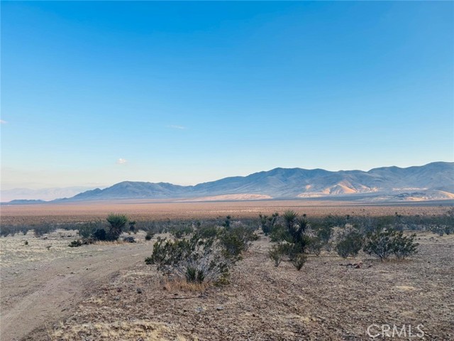 Detail Gallery Image 11 of 13 For 0 Lucerne Valley Cut off, Lucerne Valley,  CA 92356 - – Beds | – Baths
