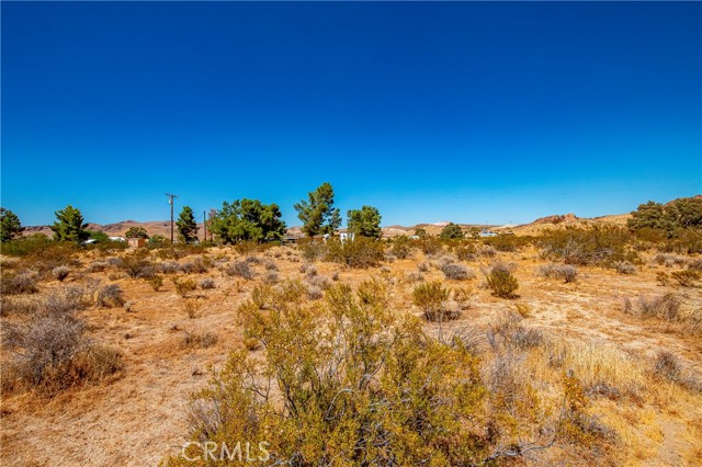  Land for Sale in Rosamond, California