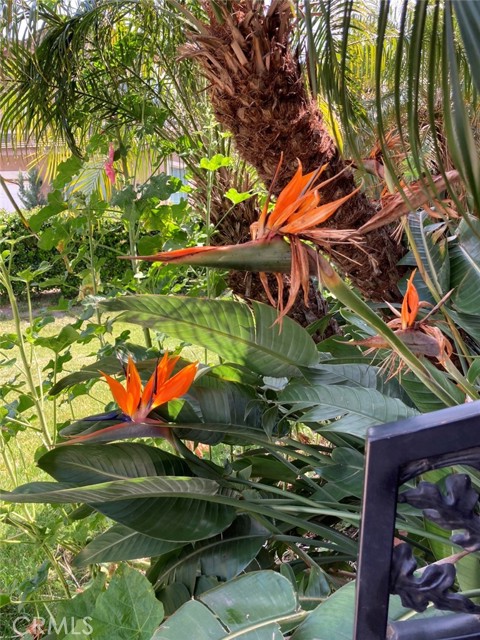 14037 Hollywood Avenue, Eastvale CA: https://media.crmls.org/medias/2f85d033-7595-4b2e-b6fe-a6f6a6cc7919.jpg