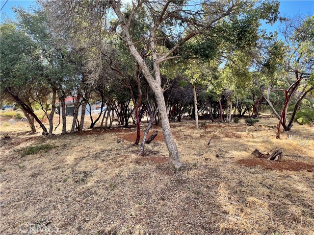 9729 Broadmoor Way, Kelseyville, California 95451, ,Land,For Sale,9729 Broadmoor Way,CRND23182464