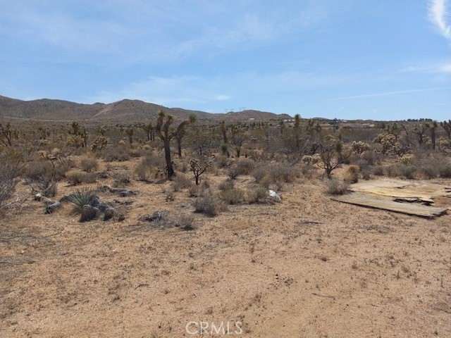 0 Roundup Way, Apple Valley, California 92308, ,Land,For Sale,0 Roundup Way,CR541211