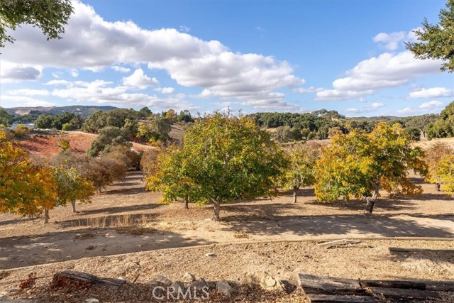 Detail Gallery Image 36 of 51 For 4350 Vineyard Dr, Paso Robles,  CA 93446 - 4 Beds | 3/1 Baths