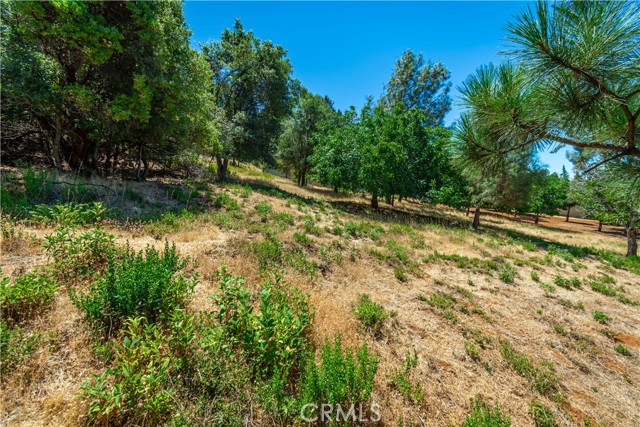 Detail Gallery Image 55 of 75 For 3126 Edgewood Drive, Kelseyville,  CA 95451 - – Beds | – Baths