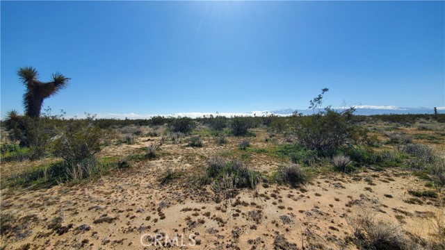 0 Holly Rd & Middleton Rd, Adelanto, California 92301, ,Land,For Sale,0 Holly Rd & Middleton Rd,CRSR24050129