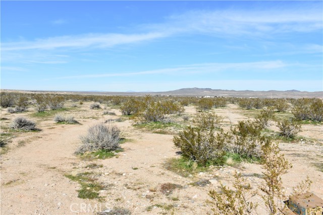 Detail Gallery Image 24 of 31 For 24 Frontier, Helendale,  CA 92342 - – Beds | – Baths