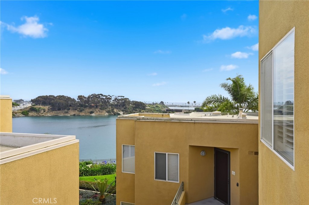809 Kalpati - photo 17