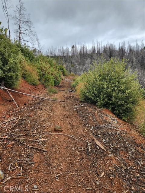 Detail Gallery Image 3 of 8 For 0 Oro-Quincy, Berry Creek,  CA 95916 - – Beds | – Baths