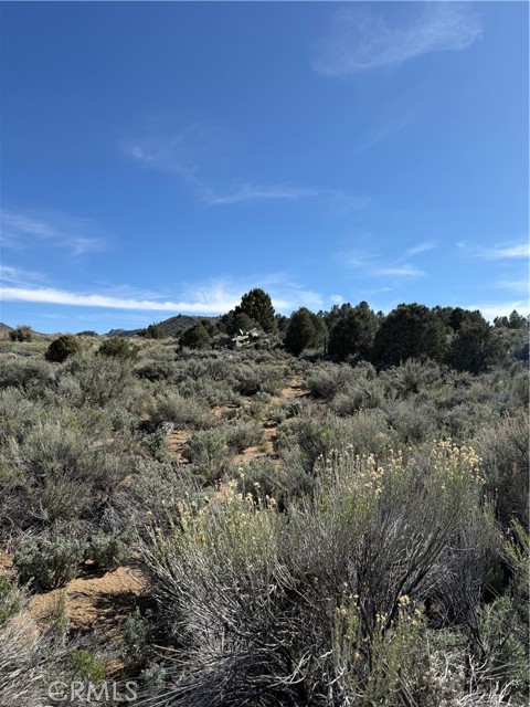 Detail Gallery Image 14 of 20 For 0 310-240-001 Kennedy Meadows Rd, –,  CA 93527 - – Beds | – Baths