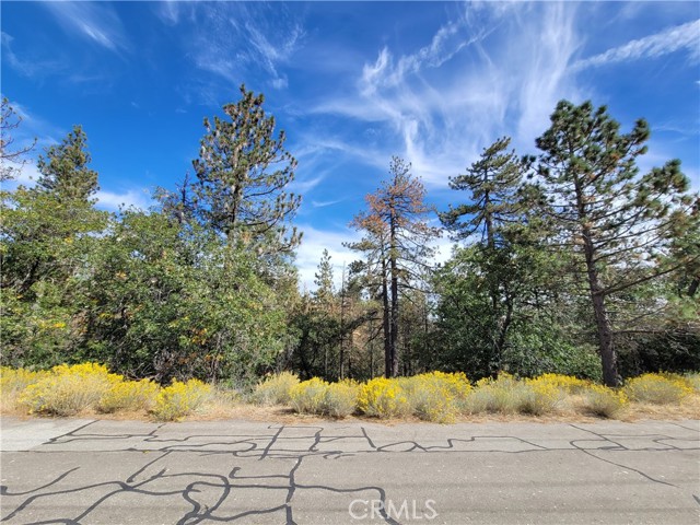 Detail Gallery Image 1 of 6 For 25840 Wilderness Way, Tehachapi,  CA 93561 - – Beds | – Baths