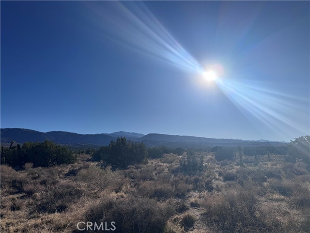 Detail Gallery Image 5 of 15 For 0 Vac/Antelope, Llano,  CA 93544 - – Beds | – Baths