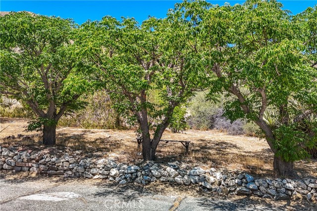 Detail Gallery Image 48 of 61 For 48910 Hibiscus Dr, Morongo Valley,  CA 92256 - 3 Beds | 3 Baths