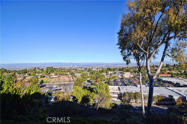 17 Avocado Lane, Rolling Hills Estates, California 90274, 2 Bedrooms Bedrooms, ,3 BathroomsBathrooms,Residential,Sold,Avocado,PV22001588 17 Avocado Lane, Rolling Hills Estates, California 90274, 2 Bedrooms Bedrooms, ,3 BathroomsBathrooms,Residential,Sold,Avocado,PV22001588