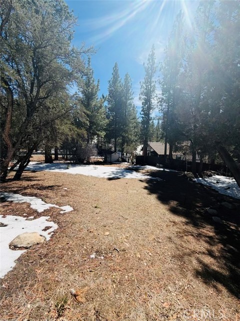 Detail Gallery Image 6 of 6 For 808 Antelope Mountain Dr, Big Bear City,  CA 92314 - – Beds | – Baths