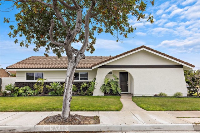 Front Image Thumbnail for CROC26107760