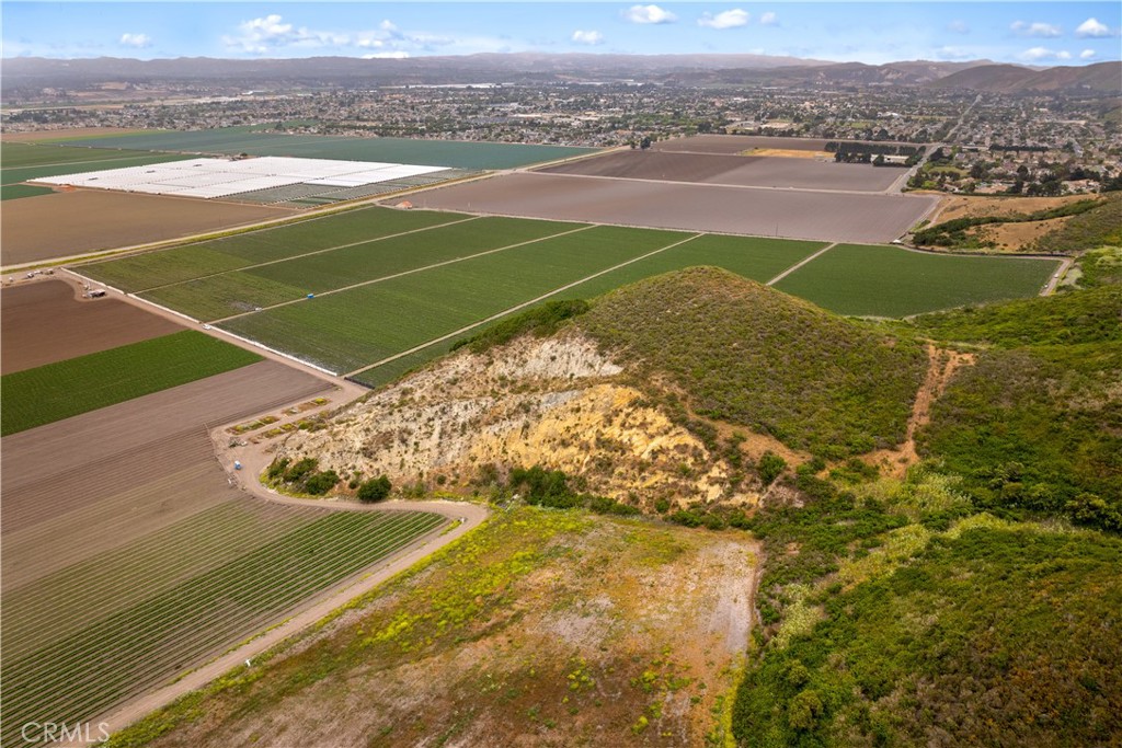 MLS #PI25199256 image #5