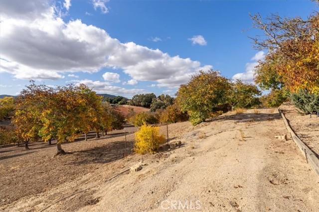 Detail Gallery Image 41 of 51 For 4350 Vineyard Dr, Paso Robles,  CA 93446 - 4 Beds | 3/1 Baths