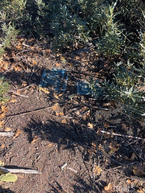 Detail Gallery Image 9 of 12 For 9806 Venturi Dr, Cobb,  CA 95426 - – Beds | – Baths