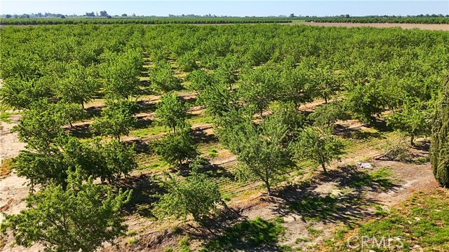 Detail Gallery Image 72 of 75 For 8499 Monte Cristo, Livingston,  CA 95334 - 5 Beds | 5/2 Baths