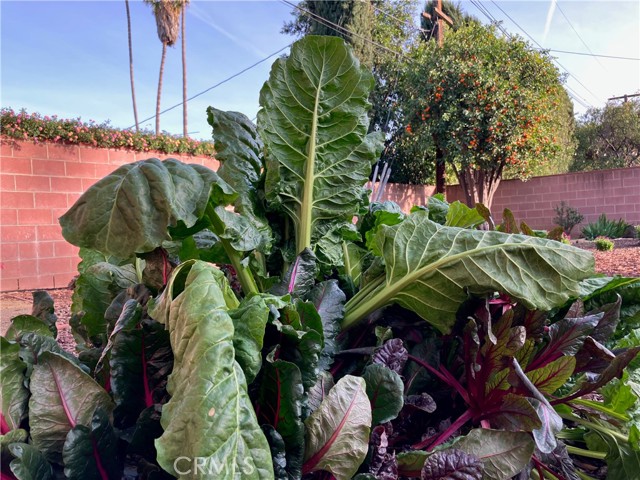 6914 Andasol Avenue, Lake Balboa CA: https://media.crmls.org/medias/2fd614ac-e371-4cde-a0f8-b9dc9f30bdf8.jpg