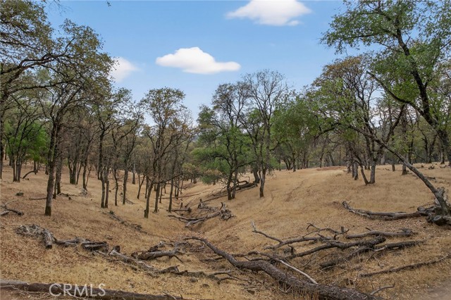 MLS #SN25226887 image #52