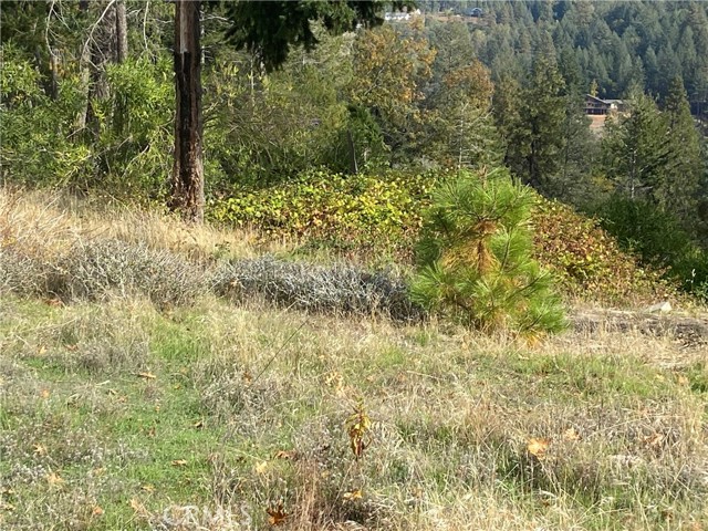 Detail Gallery Image 5 of 11 For 13690 Andover, Magalia,  CA 95954 - – Beds | – Baths