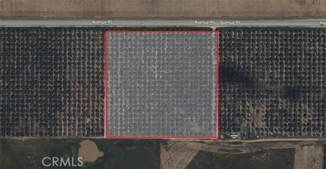 2 Terra Bella,  CA: https://media.crmls.org/medias/2fd99288-faa6-45ce-8912-aab456bd66e5.jpg