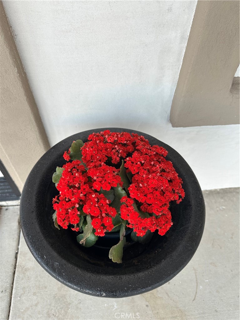 https://media.crmls.org/medias/2fe0a0d1-f72f-48f5-99e1-d4f3f4db5896.jpg?preset=X-Large