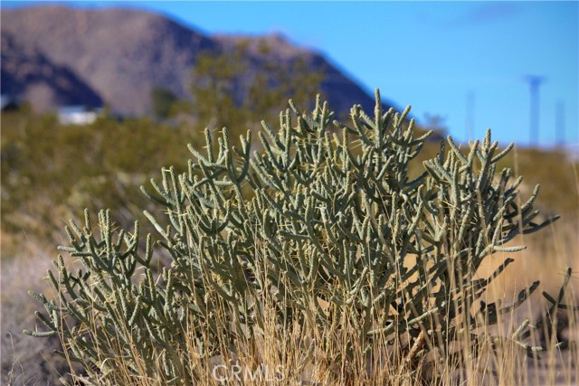 Detail Gallery Image 10 of 14 For 6400 Block Twentynine Palms Hwy, Twentynine Palms,  CA 92277 - – Beds | – Baths