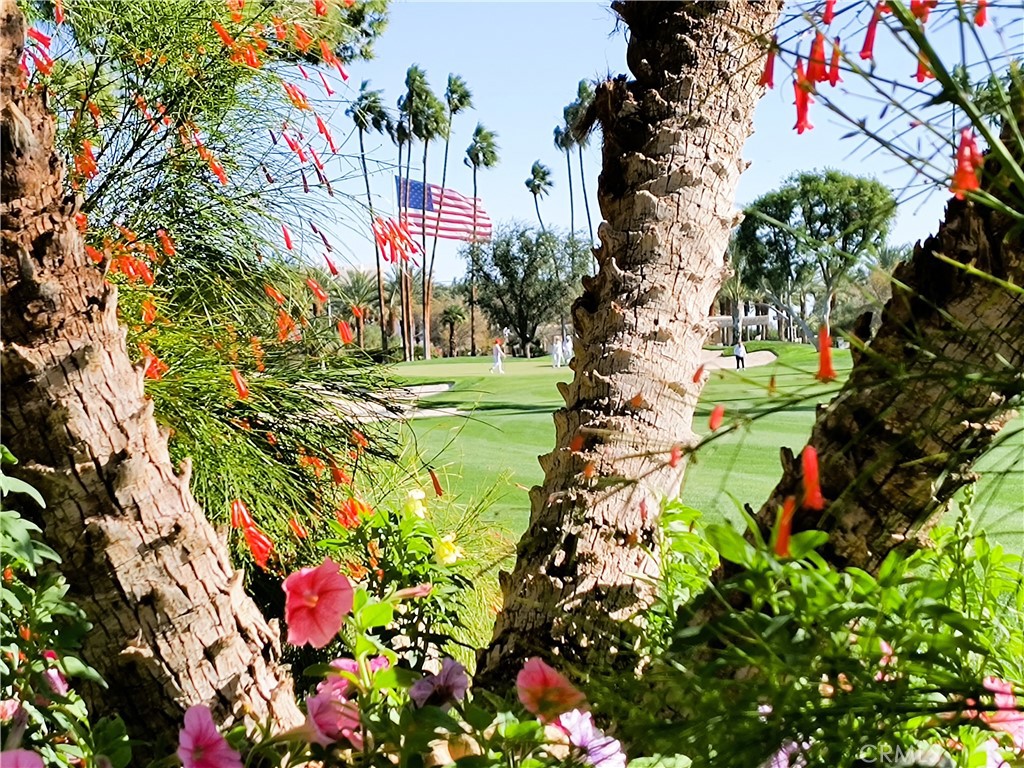 MLS #PW25267263 image #52