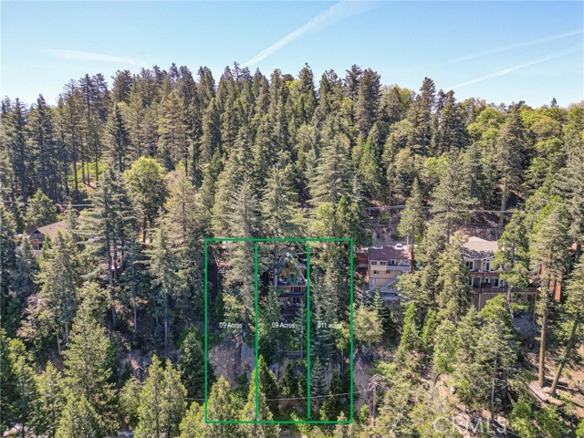 24032 Skyland Drive, Crestline CA: https://media.crmls.org/medias/2fe530d8-7680-4b3b-b6bd-002521143f79.jpg