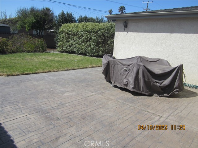 Patio Yard Area