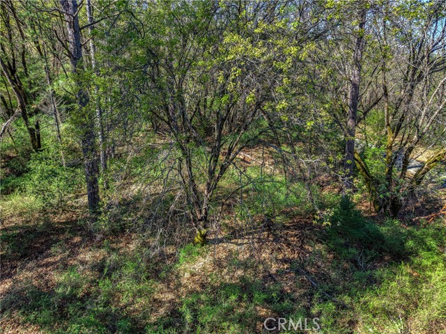 Detail Gallery Image 9 of 19 For 15347 Western Mine, Middletown,  CA 95461 - – Beds | – Baths