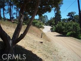 1650 Pierce, Cambria, California 93428, ,Land,For Sale,1650 Pierce,CRSC24028181