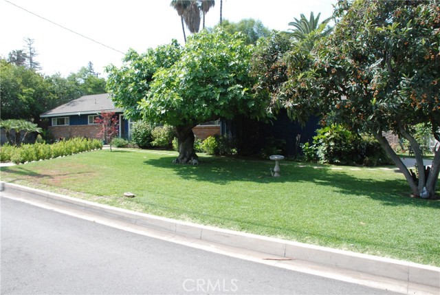 360 Campbell Avenue, Redlands CA: https://media.crmls.org/medias/30043573-bd6d-4ebc-acd5-db680acd83e2.jpg