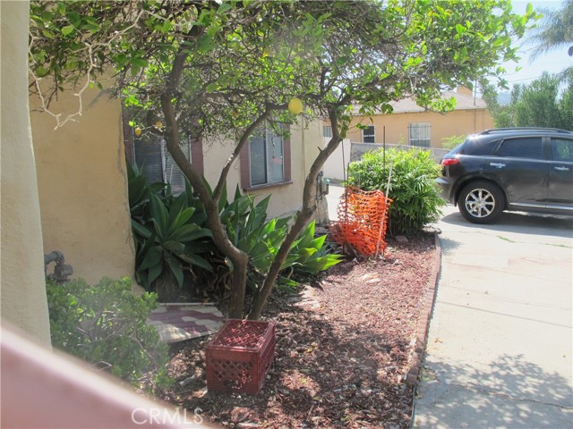 Detail Gallery Image 6 of 28 For 3000 Cazador, Los Angeles,  CA 90065 - – Beds | – Baths