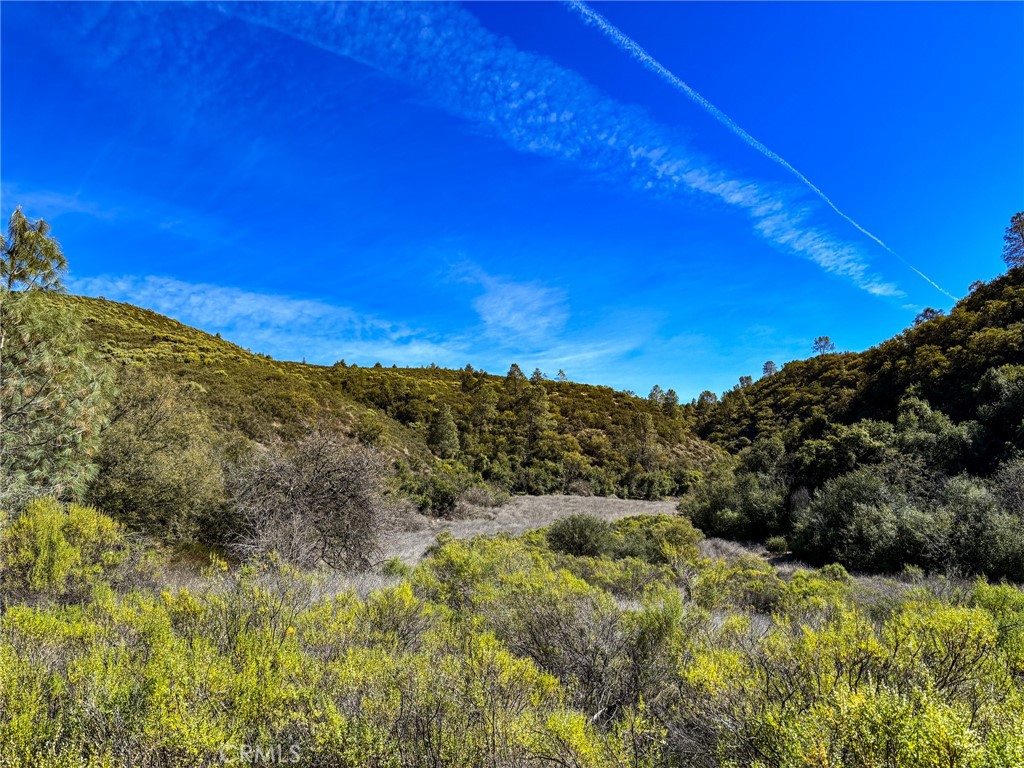 640 Robinson Canyon