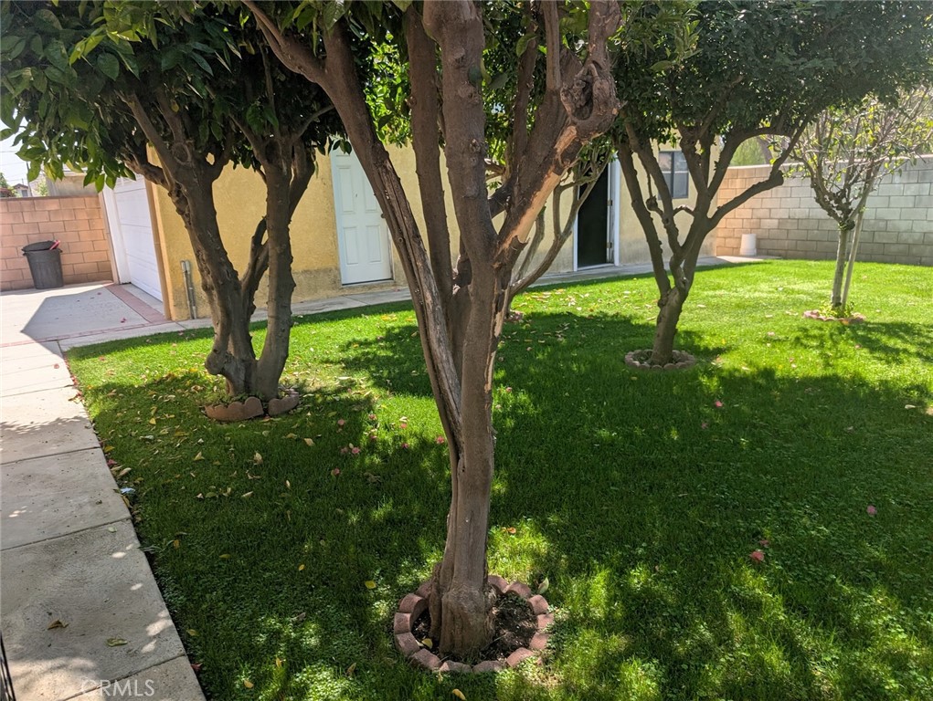 https://media.crmls.org/medias/300b573a-fab2-40d0-974b-cb2c2902e3fd.jpg?preset=X-Large