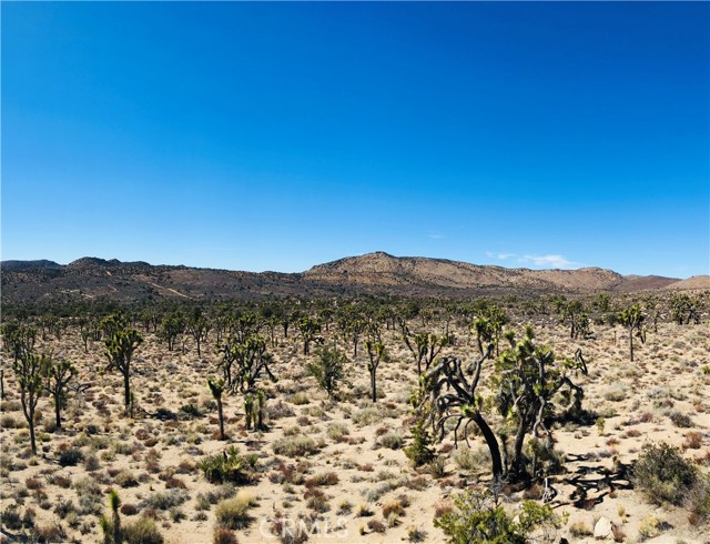 Detail Gallery Image 3 of 32 For 26 Vista Rd, Pioneertown,  CA 92356 - – Beds | – Baths