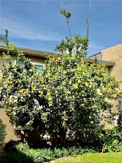 720 Meyer Lane, Redondo Beach, California 90278, 2 Bedrooms Bedrooms, ,2 BathroomsBathrooms,Residential,Sold,Meyer,PW22057237