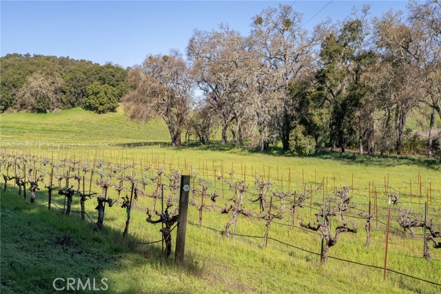 Detail Gallery Image 6 of 61 For 1888 Willow Creek Rd, Paso Robles,  CA 93446 - 5 Beds | 5/1 Baths