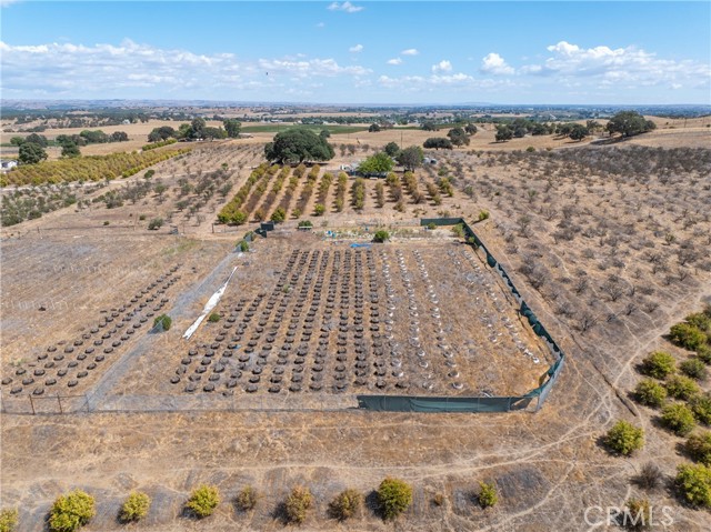 27 Wellsona Road, Paso Robles CA: https://media.crmls.org/medias/30142afb-2226-4a40-838e-819dea2d9bde.jpg