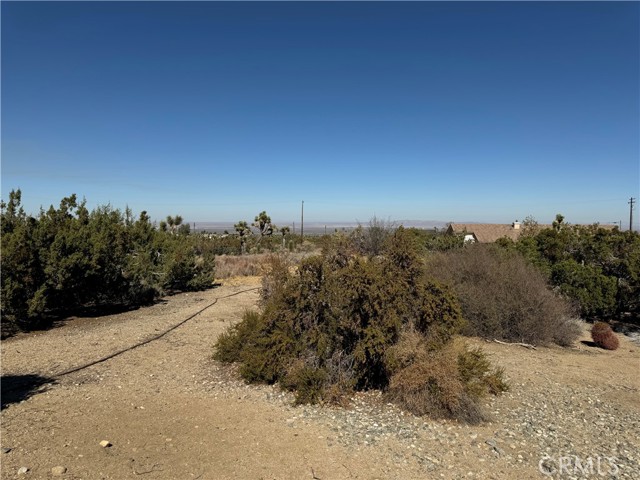 Detail Gallery Image 41 of 46 For 2038 Hollister Rd, Pinon Hills,  CA 92372 - 4 Beds | 2 Baths